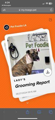 Grooming appointment review