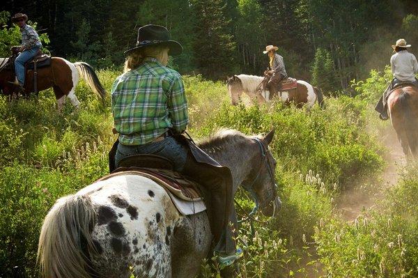 Forested switchback trail