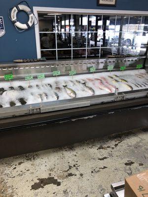 Fresh fish. Selection changes daily