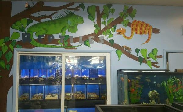 Our Reptile Wall