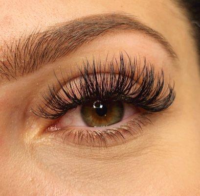 Volume Lashes