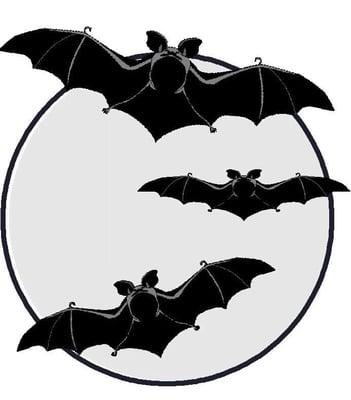 Bat Specialists of Oklahoma