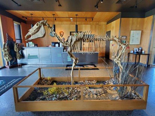 Hagerman Fossil Beds National Monument