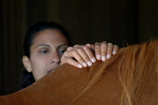 Nimbus Osteopathic Bodywork + Herbalist