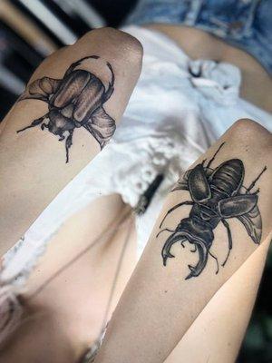 Realistic beetles