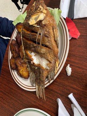 Mojarra Dorado (a fried whole tilapia)