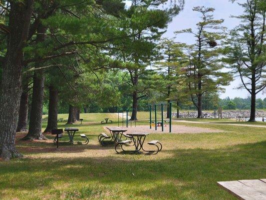 Picnic tables and swings near beach