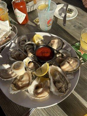 Raw oysters were huge.