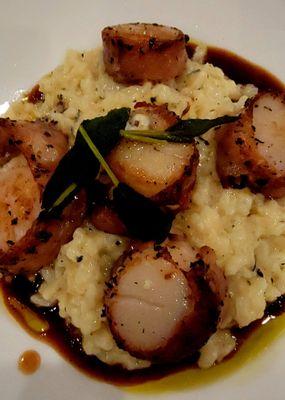 Diver Sea Scallop Saltimbocca