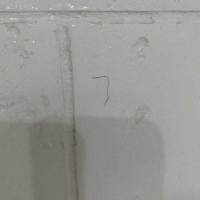 Hair on shower wall