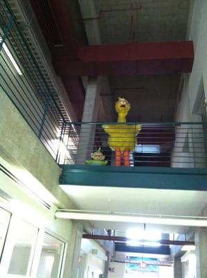 Big Bird and a Teletubby on security duty!