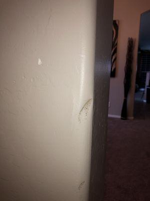 Scuffs and gouges in my wall