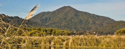 Mt Tam - Marin County