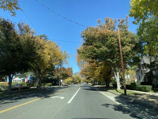 Beautiful day in Claremont for a COVID-19 cruise with the changing of the leaves... 11/17/20