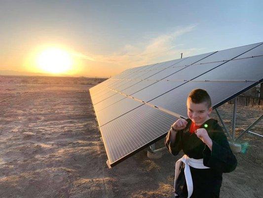 Ground-mounted solar array