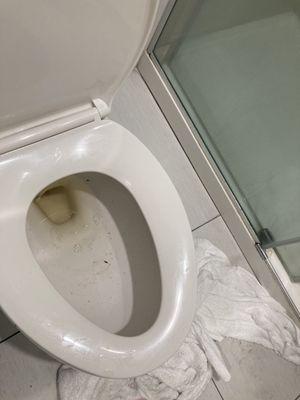 Toilet barely flushes