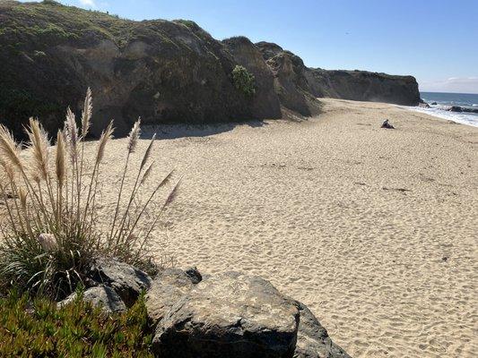 Pelican Point Beach