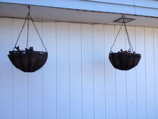 Nice basket of dead plants...