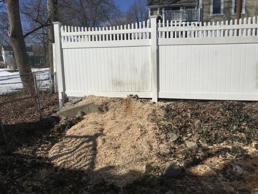 The stump was ground clean. These guys are pros from start to finish.