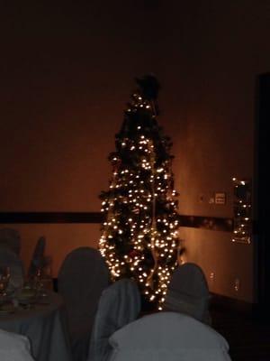 Another pathetic Christmas tree. Brides beware. This venue is horrible.