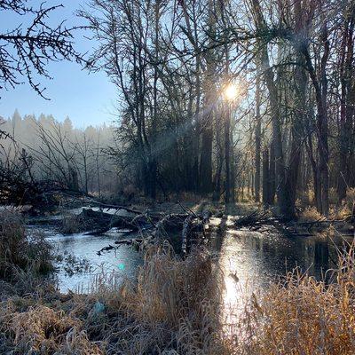 Minto Brown Park