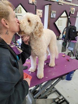 Archie loves Shiela! He's our 13 month old Australian Labradoodle, and we wouldn't trust him to anyone else!