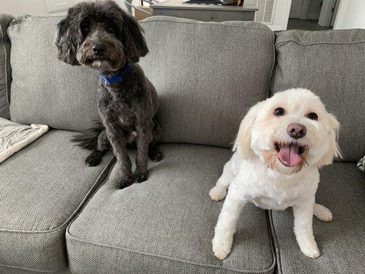 After their haircut!