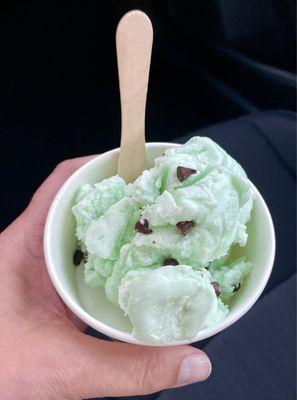 Mint chocolate chip ice cream