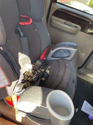 Car seat tore up by rats from auto specialists.