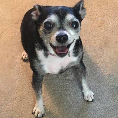 "I am one happy pup!"