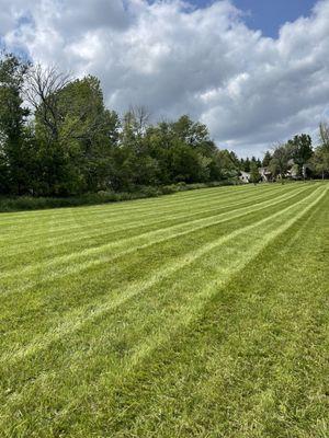 Hayfield mowed back into a lawn.