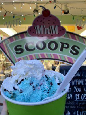 Cookie Monster sundae (this is a small and was as big as my hand)