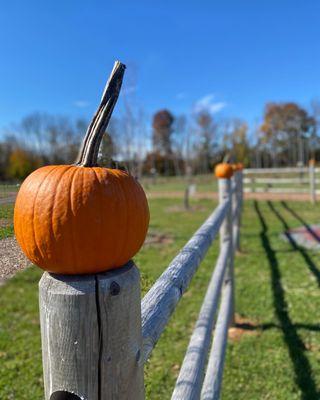 Readington Brewery is decorated beautifully for the season