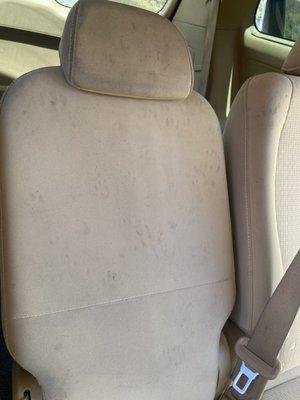 Paw prints in my second row seat in my Kia Sedona after taking it to be serviced at Garden Grove Kia.