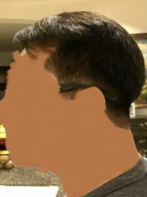 My dad's haircut and dark brown hair dye (side profile)