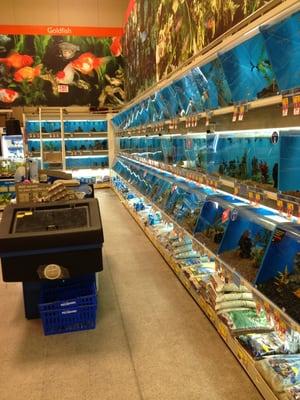 The fish department