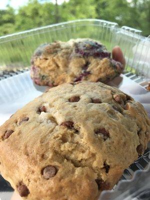 Scones! Butterscotch (front) and berry (back)