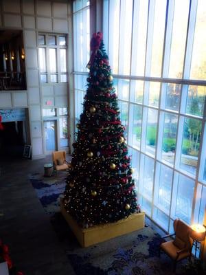 The huge Christmas tree on the lower level