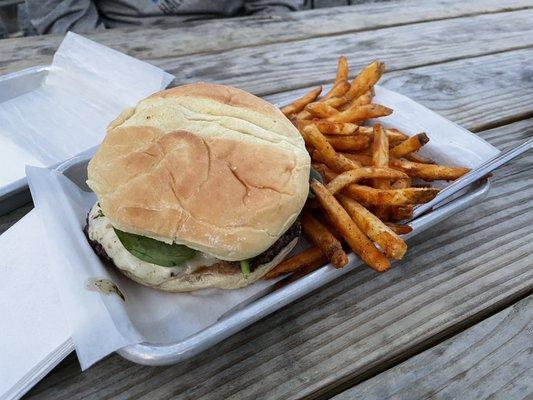 Delicious burger and seasoned fries