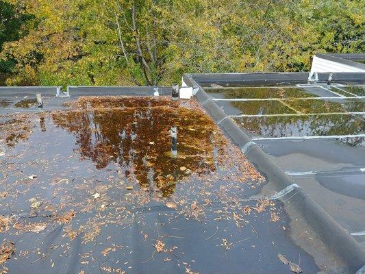 Flat top roof without proper slope. Standing water is dead weight on the structure.