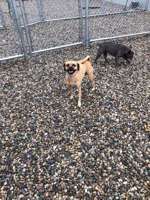 outside playing and smiling