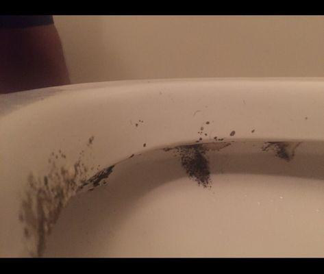 Mold on toilet after 3 weeks of being out of town