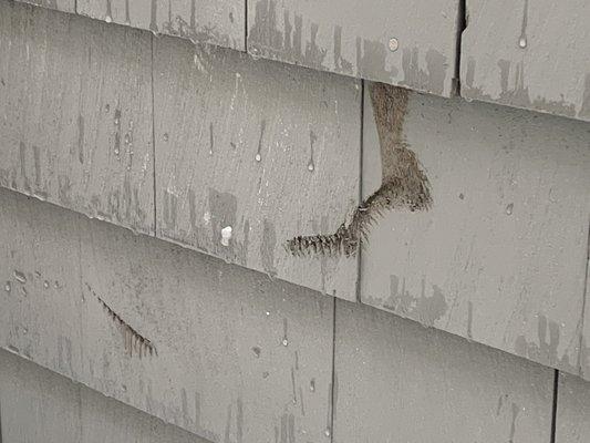 Damage from tools-these were new shingles