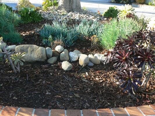 Save on your water bill with California native drought tolerant plants