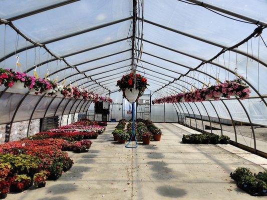 Indoor greenhouse in marketplace