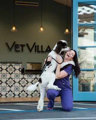 Vet Villa Animal Hospital