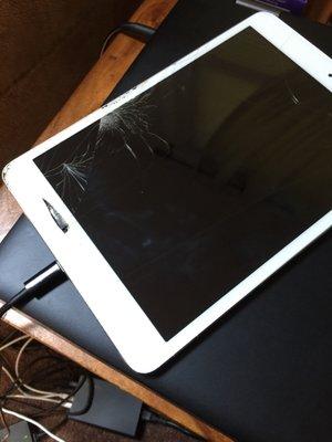 iPad Damaged Screen