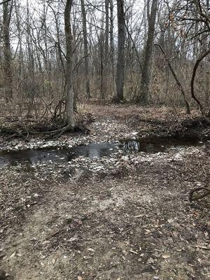 Where the old wooden bridge was. The trail has been routed around this to cross the creek nearby.