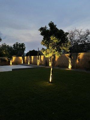 Backyard LED landscaping lighting to improve visibility at little to nothing on your electrical bill