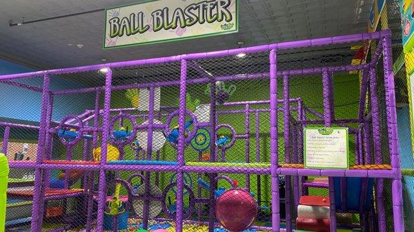 Ball blaster